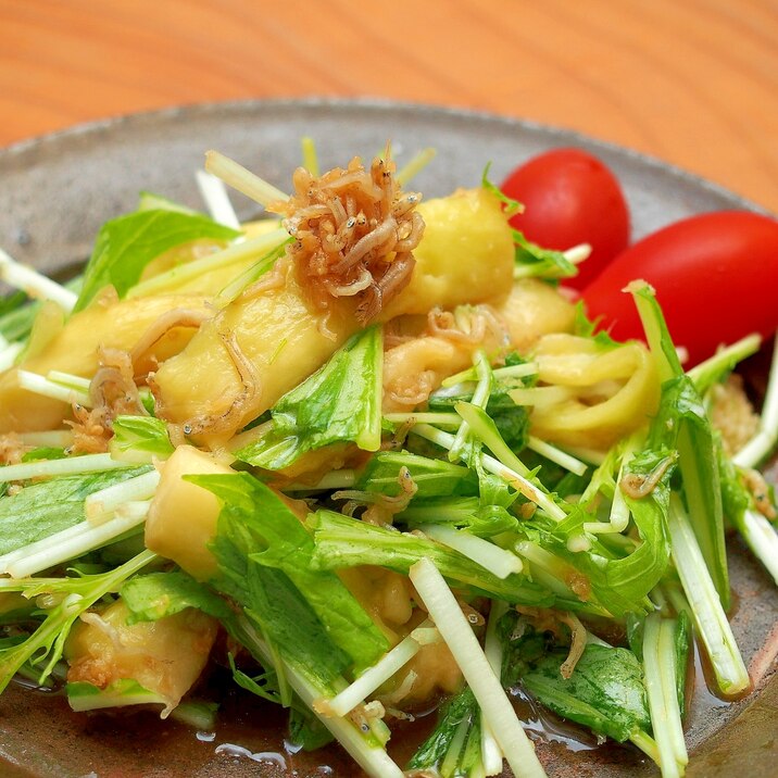 レンジで蒸しナスと水菜とカリカリじゃこのサラダ